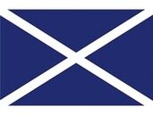 Talamex_Signalflagge_M Talamex Buchstabenwimpel Abm. 30 x 36 cm Signalflagge M