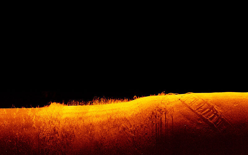 Sonaraufnahme im Querformat zeigt eine orange-schwarze Unterwasserstruktur mit Bewuchs und Konturen vor dunklem Hintergrund.