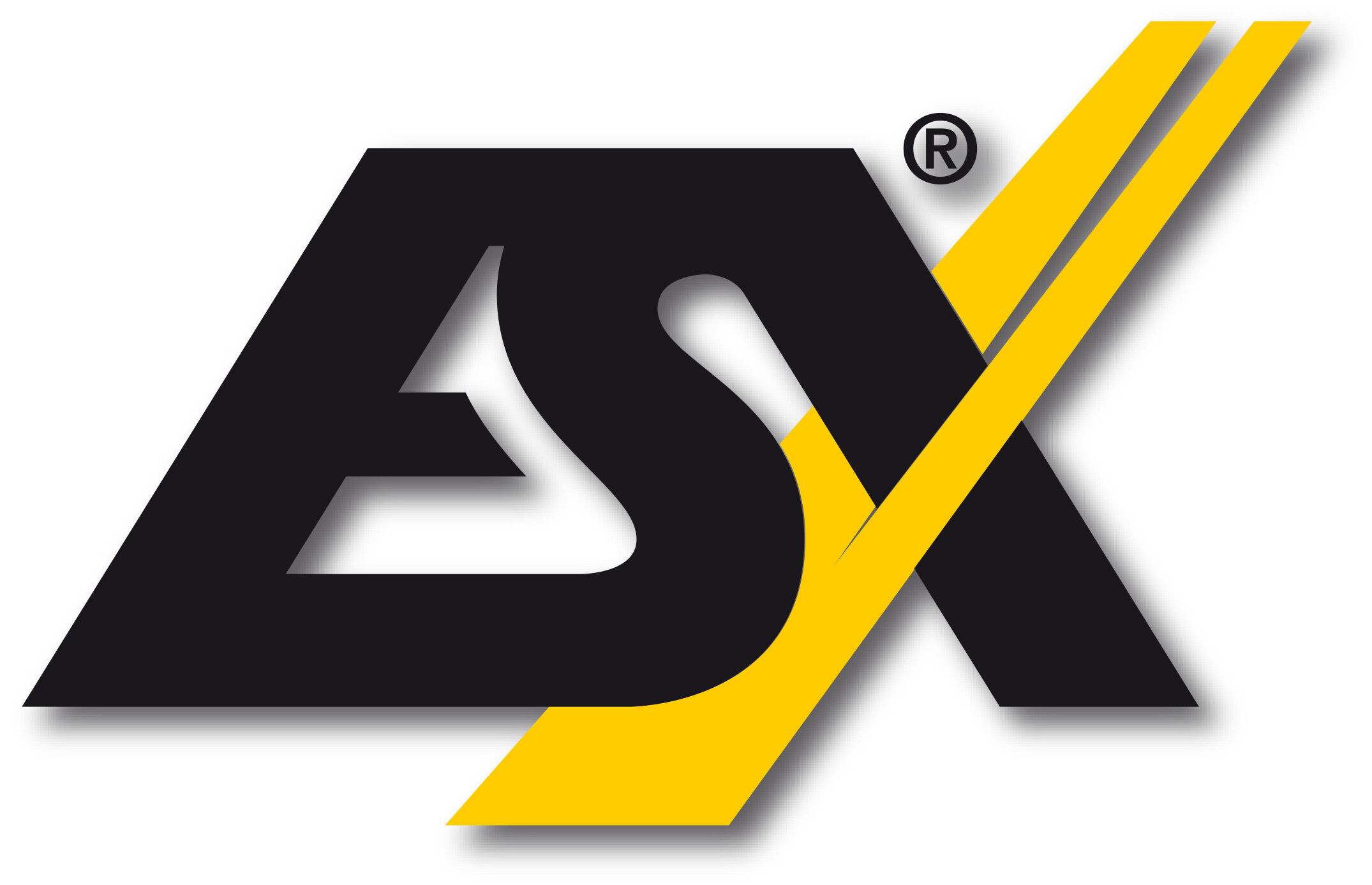Das offizielle Markenlogo von ESX Audio in den Farben Schwarz und Gelb auf weißem Grund.