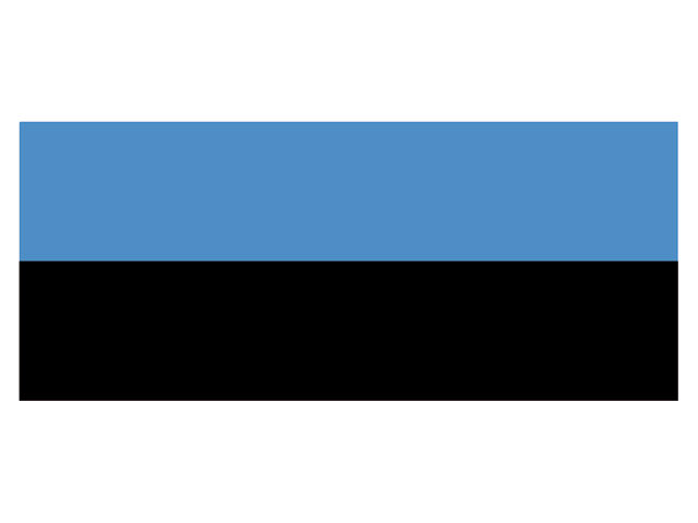 Talamex Flagge Estland (verschiedene Größen)