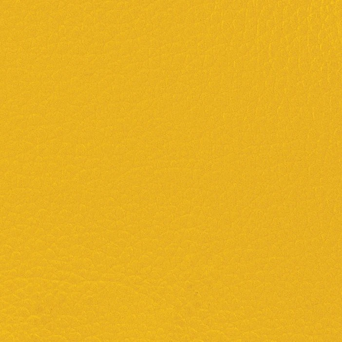 Skai roll 5 x 1,37 m in RAL 1004 Golden Yellow