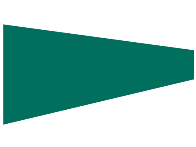 Talamex Zollflagge grün 75 x 150 x 20