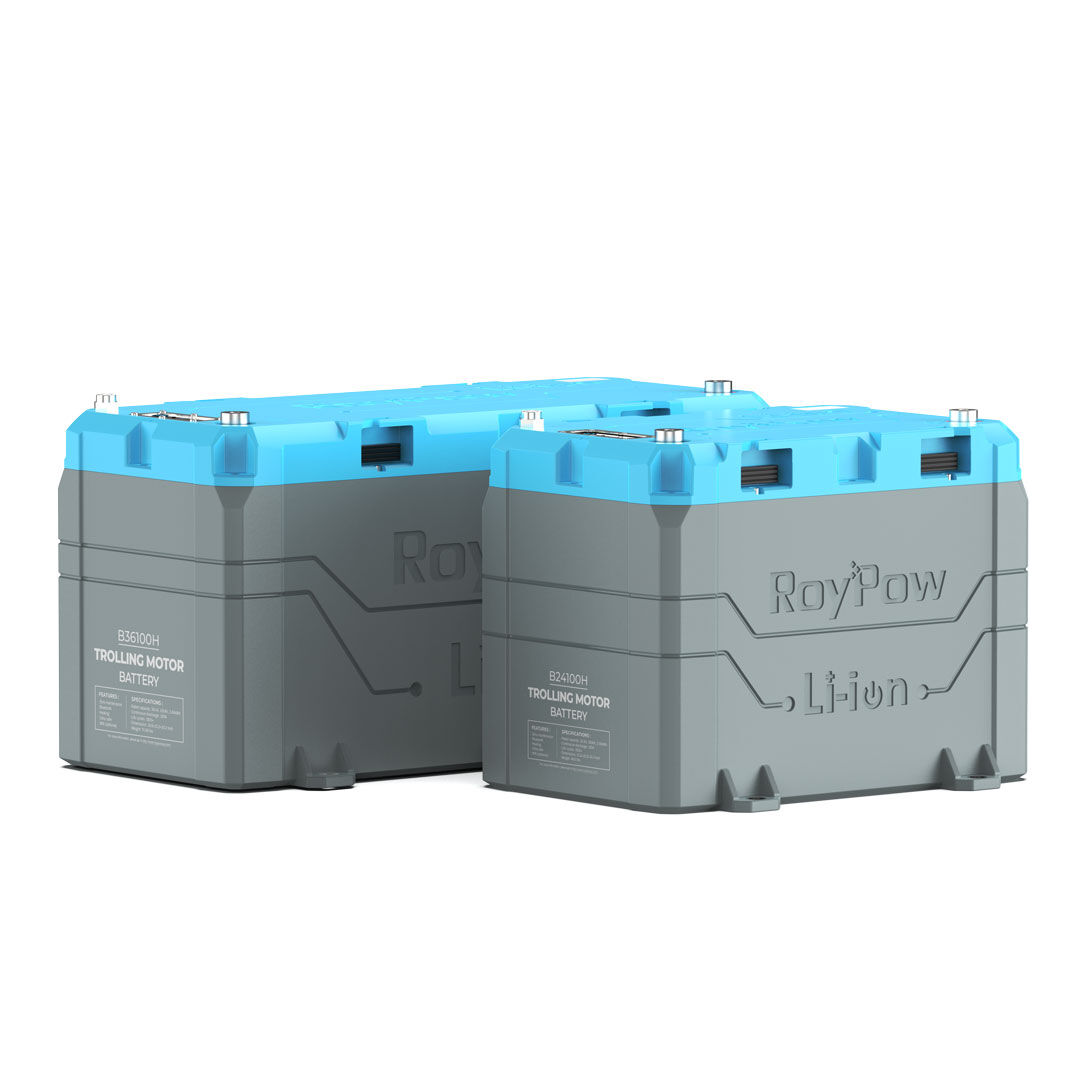 RoyPow Lithium LiFePO4 Batterie 12V - 100Ah