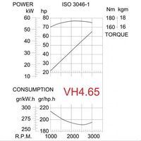 Vetus Hyundai VH4-65 mit TMC345  i=2,47