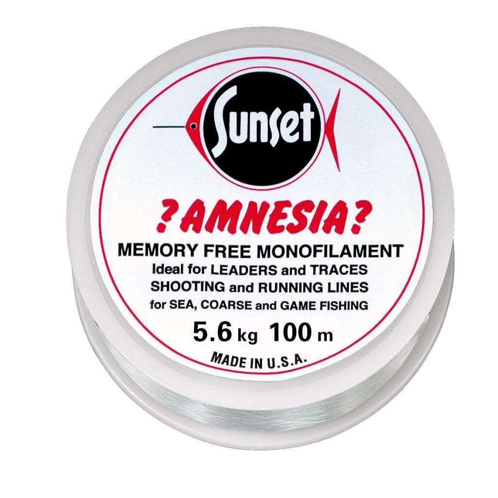 Jenzi Amnesia Leader Vorfach, Klar, 12lbs 100m