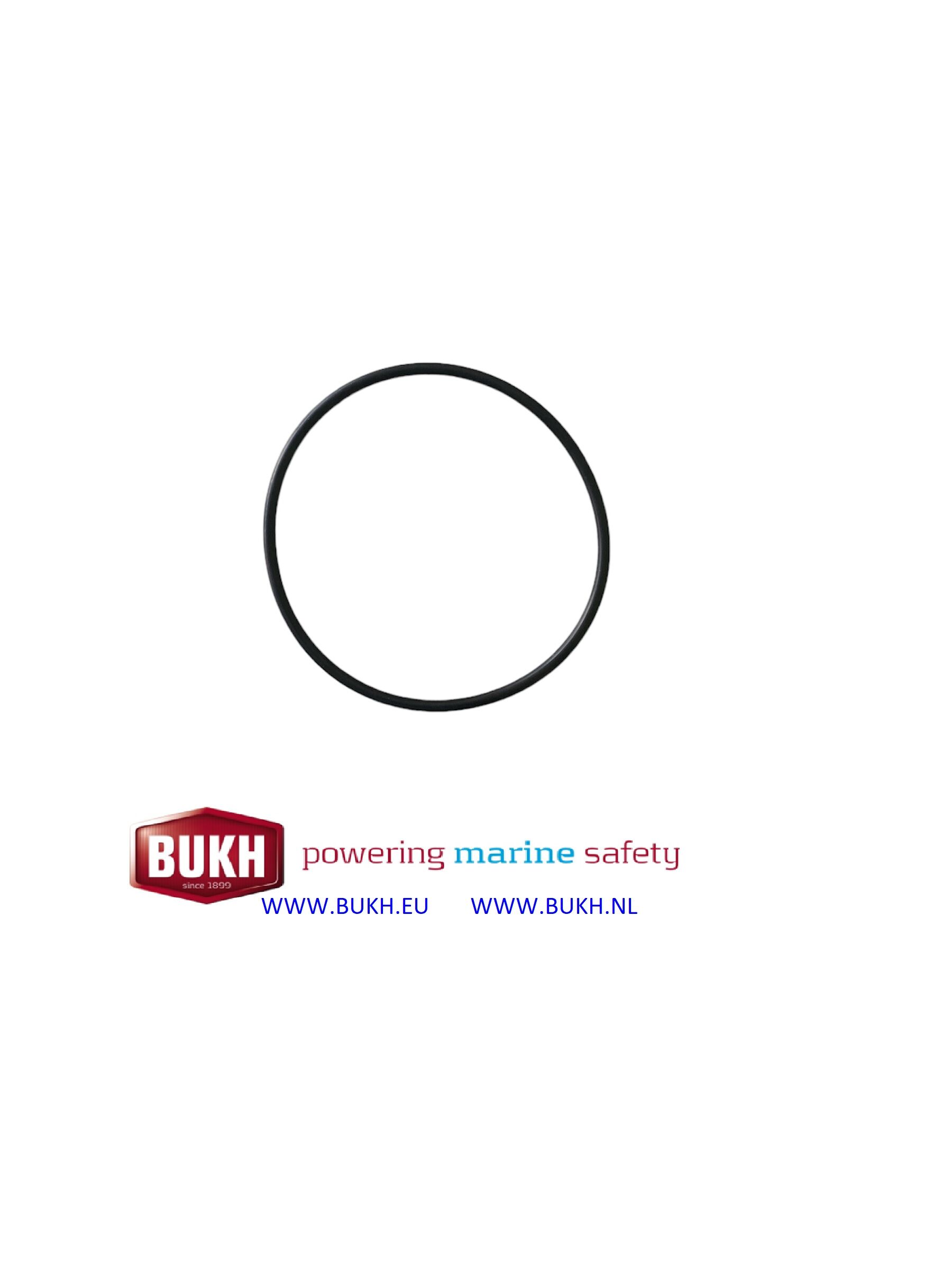 Bukh O-Ring Laufbuchse DV10/20