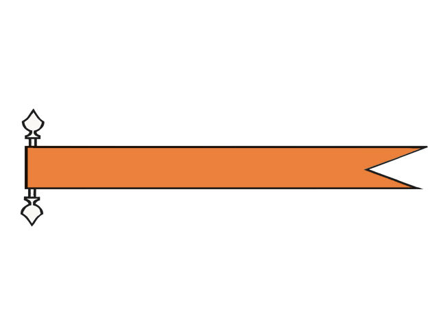 Talamex Langwimpel Oranje (verschiedene Größen)
