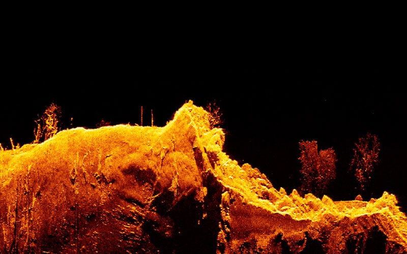 Echolot-Bild zeigt eine felsige Unterwasserstruktur und Bäume in orangefarbener Darstellung auf schwarzem Grund.