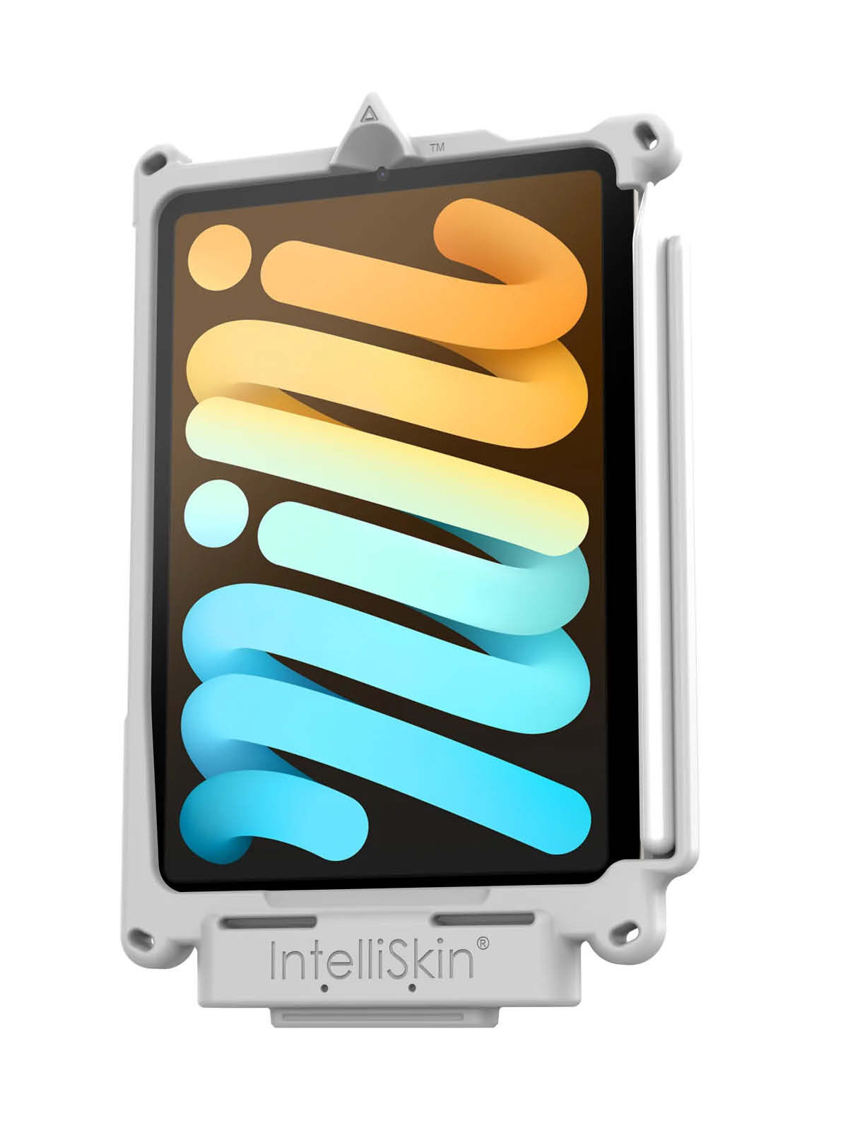 RAM Mounts IntelliSkin Next Gen Ladeschutzhülle für Apple iPad mini 6 & mini (A17 Pro) - GDS-Technologie - USB-C-Anschluss (Extern) - Grau