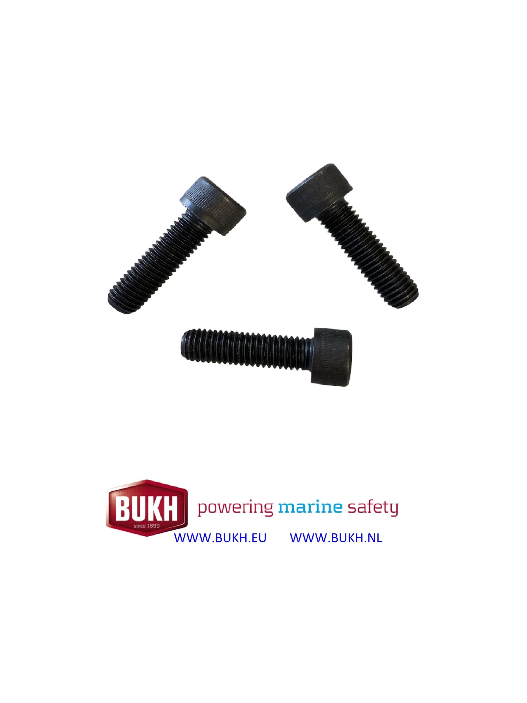 Bukh Innensechskantschraube M10x45