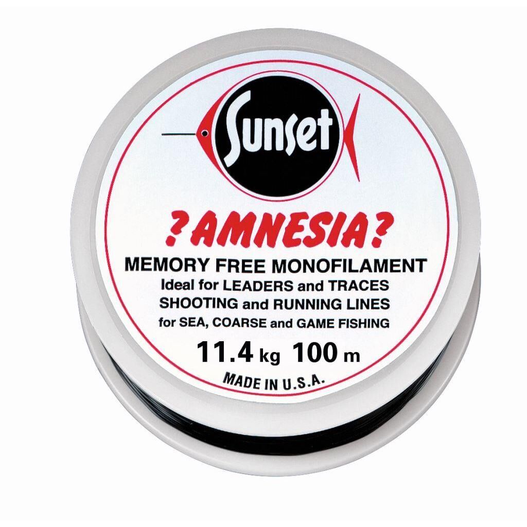 Jenzi Amnesia Leader Vorfach Schwarz 25lbs 100m