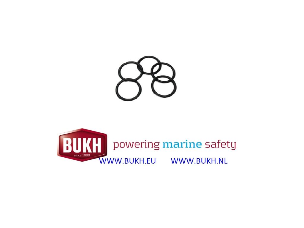 Bukh O-Ring (610A2414)